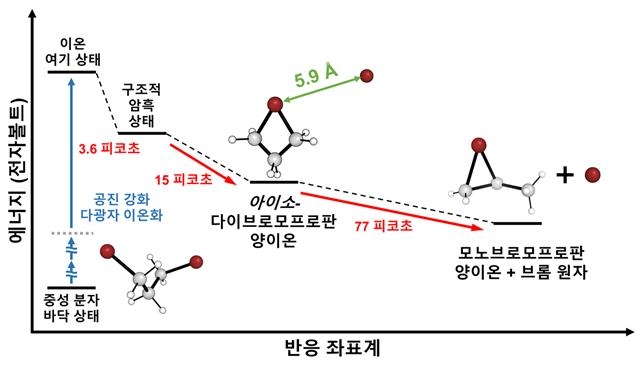 공진강화 다광자 이온화 과정 다이브로모 프로판의 구조동역학 [IBS 제공. 재판매 및 DB 금지]