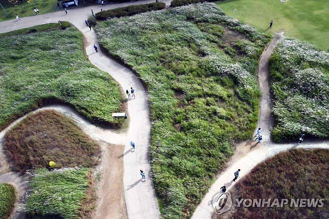 2022 시흥갯골축제 [시흥시 제공. 재판매 및 DB 금지]