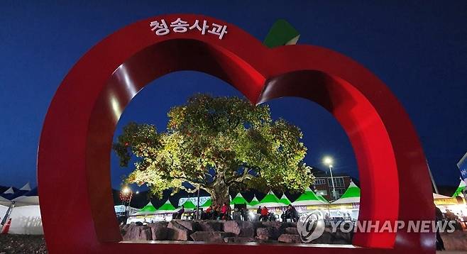 청송 사과축제 포토존 [연합뉴스 자료 사진]