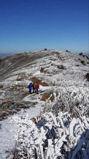 ▲ 태백산 천제단∼장군봉 정상 능선의 눈꽃 바다.