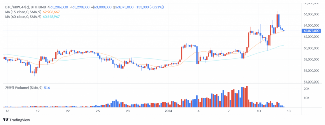 12일 오후 1시 5분 기준 비트코인(BTC) 가격 차트 / 출처=빗썸