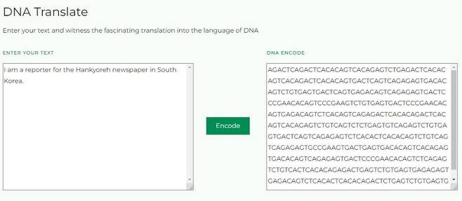 바이오메모리 웹사이트의 DNA 번역 창에 영어로 ‘나는 한국의 한겨레신문 기자다’라는 문장(왼쪽)을 입력하자, 오른쪽에 이를 염기(A, T, G, C) 코드로 변환한 결과가 나타났다.