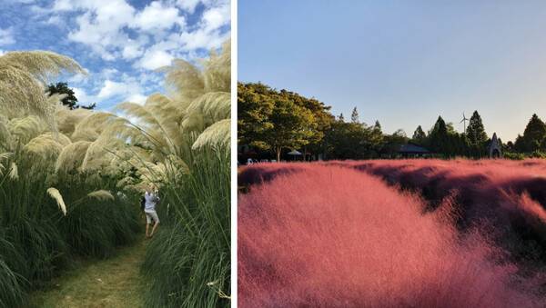 태안 가볼만한 곳 / 온라인 커뮤니티