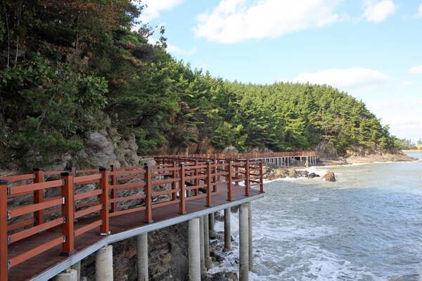 태안 가볼만한 곳 / 온라인 커뮤니티