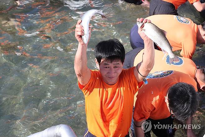 '산천어 잡았어요' (화천=연합뉴스) 강태현 기자 = 13일 오전 강원 화천군 화천읍 화천천에서 열린 '2024 산천어축제' 맨손잡기 행사장에서 관광객이 산천어를 머리 위로 들어올리고 있다. 2024.1.14 taetae@yna.co.kr