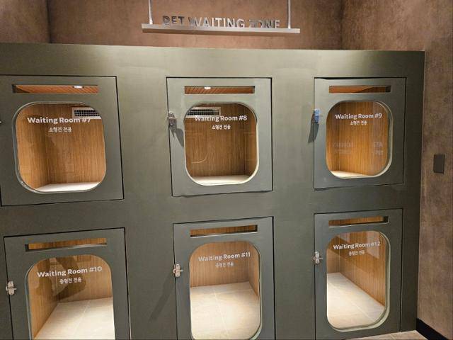 경기 구리시 스타벅스 구리갈매DT점에 마련된 펫 웨이팅 존. 구리=최현빈 기자