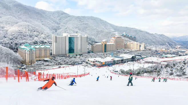 Visitors enjoy ski slopes in Vivaldi Park Resort in Hongcheon, Gangwon Province. (Vivaldi Park Resort)