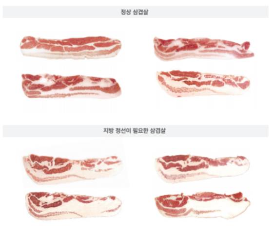 농식품부의 '삼겹살 품질관리 매뉴얼'. 정상 삼겹살과 지방이 많은 삼겹살을 비교하고 있다. 〈사진=삼겹살 품질관리 매뉴얼 캡처〉