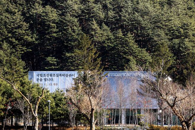 조선왕조실록의 안식처 '국립조선왕조실록박물관'. 전나무숲이 호위하듯 둘러싸고 있다. / 양수열 영상미디어 기자