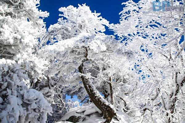 출처 = 게티이미지뱅크
