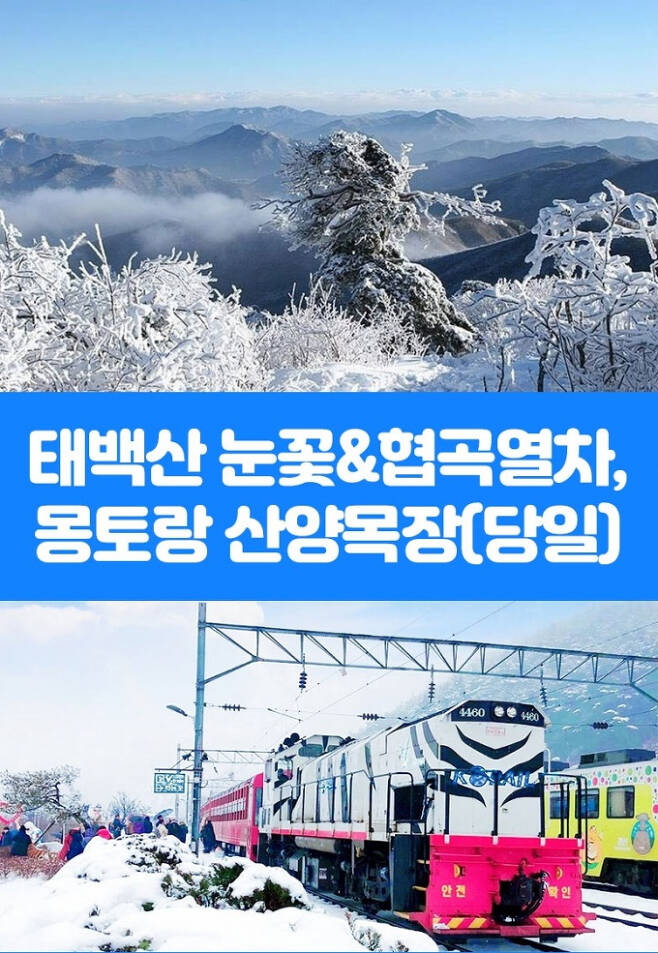 /사진=한국철도공사 부산경남본부