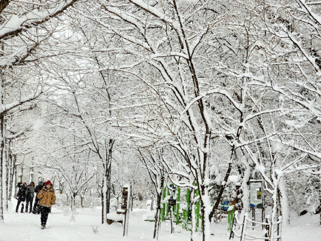 ▲ 동해시는 천곡동 냉천공원의 접근성과 편의성을 높이기 위해 1억원의 사업비를 투입해 흙길·야자매트 길을 활용해 새로운 순환산책로를 조성하고, 공원 속 휴식 공간을 추가 확보할 계획이다. 눈 내린 냉천공원 모습.