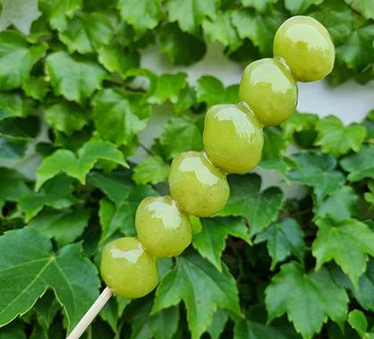 애플포도 탕후루