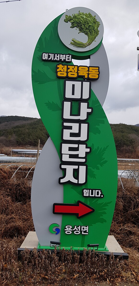 경산시 용성면 육동미나리단지 입구 전경 [사진=경산시]