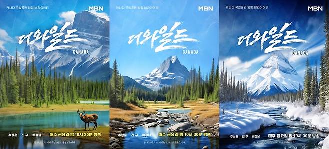 ▲MBN 예능프로그램