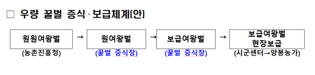 우량 꿀벌 증식·보급체계(안). 농진청