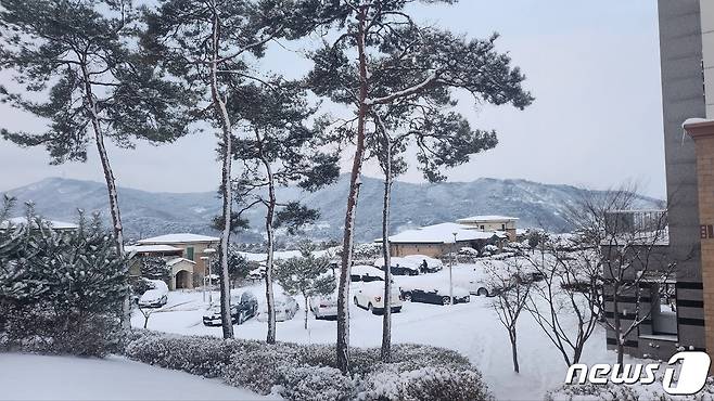 전북 고창군 고창읍 석정리 한 아파트 일원에 하얀 눈이 쌓여 있다. 2024.1.23/뉴스1 ⓒ News1 박제철 기자