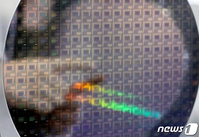 웨이퍼의 모습. /사진=뉴스1