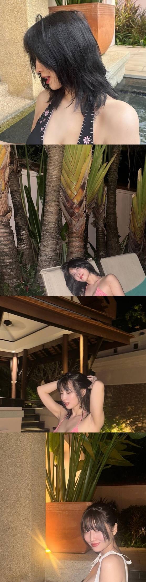 그룹 트와이스 멤버 모모. (모모 소셜네트워크서비스)