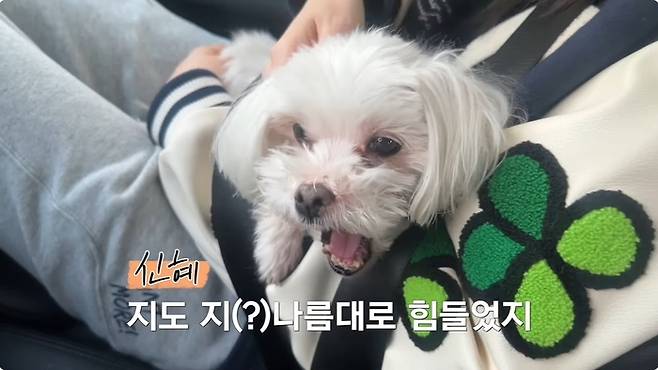 출처 | 유튜브 ‘황신혜의cine style’