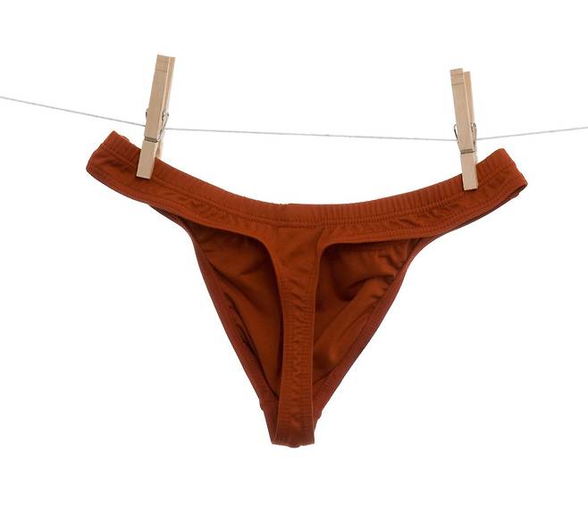 티팬티는 항문 질환, 방광염, 피부 착색의 원인이 될 수 있다. / 사진=게티이미지뱅크