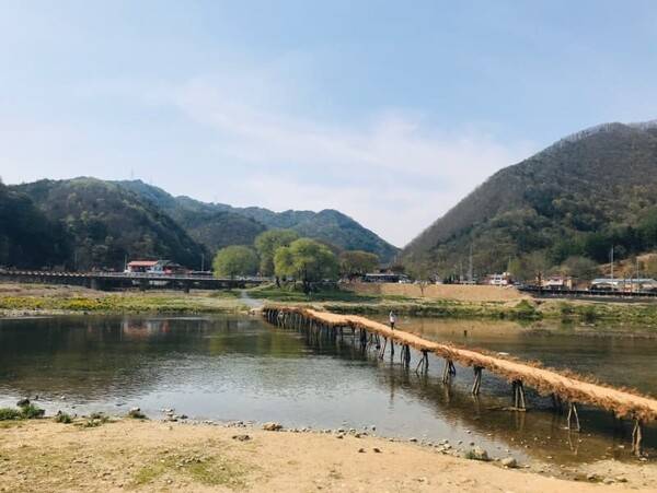 영월 가볼만한 곳 / 온라인 커뮤니티