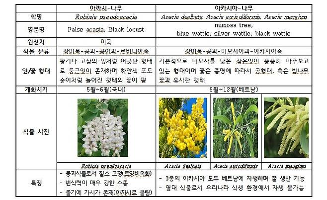 아까시나무와 아카시아나무 비교 [농촌진흥청 제공]