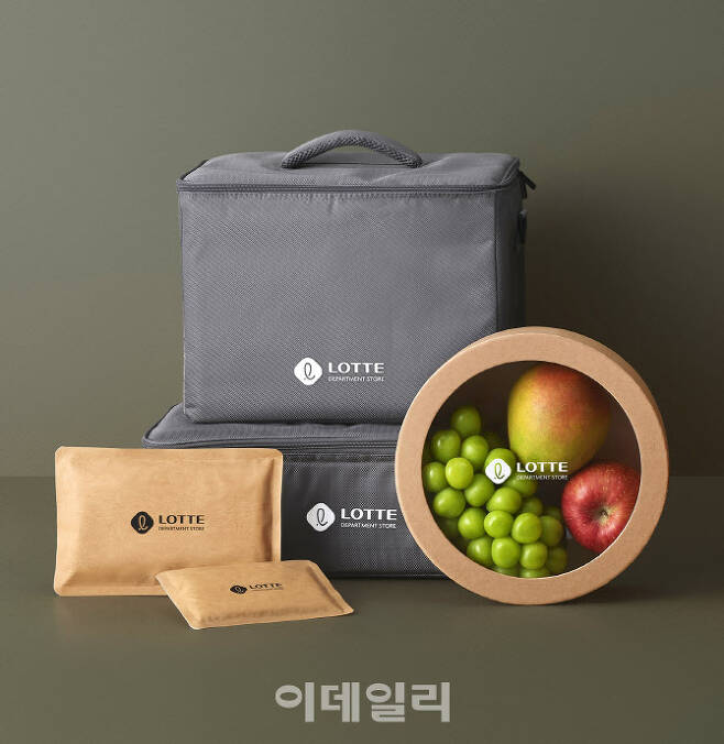 롯데백화점 보랭 가방(회색)과 친환경 포장재. (사진=롯데백화점)