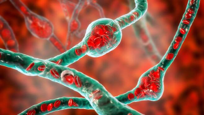 [사진=클립아트코리아]