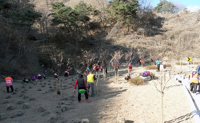 안동시가 오는 2월 8일까지 2024년 상반기 공공근로사업·지역공동체일자리사업 참여자를 모집한다./사진제공=경북 안동시