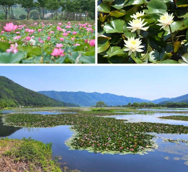 화천 가볼만한 곳 추천 / 온라인 커뮤니티