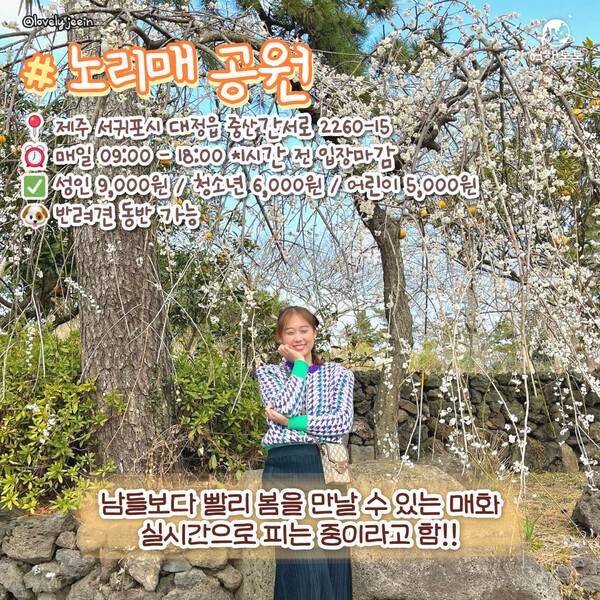 ⓒ여행톡톡&nbsp;/&nbsp;제주 노리매공원