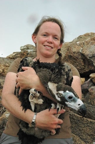 2011년 몽골 동부 고비 사막 끄트머리의 이크 나르트(Ikh Nart) 지역에서 대머리수리 새끼를 잡아 GPS 칩을 이식한 뒤 돌려 보내고 있는 덴버 동물원 연구자 매리 조 윌리스 /Earthwatch: Wildlife of the Mongolian Steppe 제공