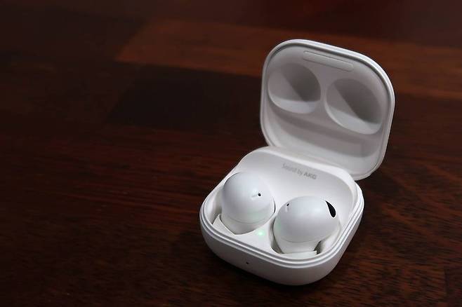 삼성전자 갤럭시 버즈2 / 출처=IT동아