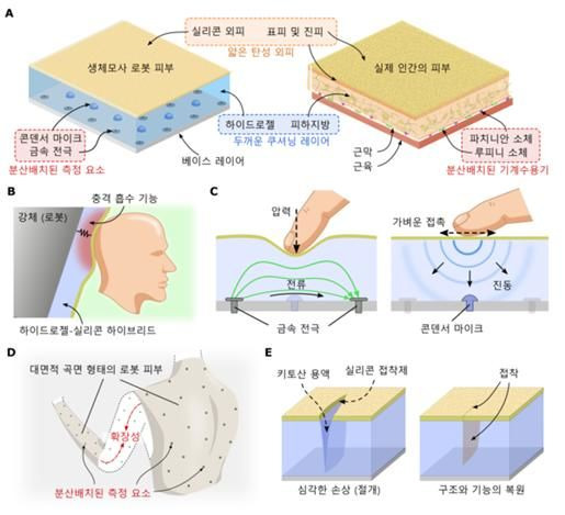 김정 교수가 개발한 로봇 피부 원리. (사진=과기정통부 제공) *재판매 및 DB 금지