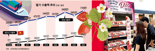 베트남 호찌민시 판후익지역에 문을 연 ‘베트남 이마트 3호점’에서 한국산 과일 특설 매대 앞에 선 소비자들이 케이(K)-딸기를 관심 있게 살펴보고 있다.