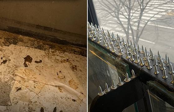 휴식실을 가득 채운 배설물(왼쪽)과 창틀에 박힌 못들(오른쪽). 〈사진=동물자유연대〉