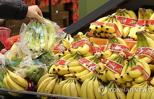 (서울=연합뉴스) 이재희 기자 = 28일 서울의 한 대형마트에서 시민이 바나나를 고르고 있다. 과일 가격 강세가 지속되자 지난 19일 정부는 바나나, 오렌지 등 수입 과일 6종에 할당관세를 적용해 관세율을 오렌지는 10%, 나머지는 0%로 각각 내렸다. 2024.1.28 scape@yna.co.kr