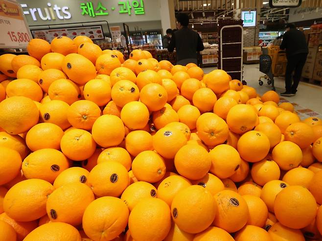 지난달 28일 서울의 한 대형마트에 수입 과일인 오렌지가 진열돼 있다. ⓒ연합뉴스