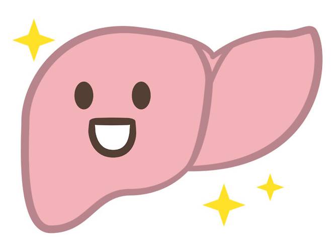 매년 2월 2일은 '간암의 날'이다. 간암은 예방과 조기 발견이 중요하며 그 효과도 검증됐다. [자료=게티이미지뱅크]