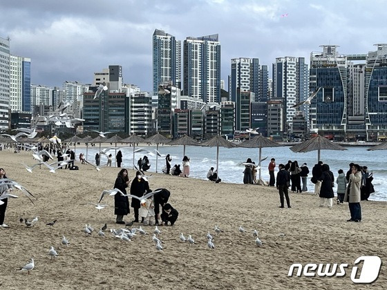 부산 수영구 광안리해수욕장 모래사장에서 갈매기를 구경하는 시민들. 2024.02.04/뉴스1 ⓒ News1 권영지 기자