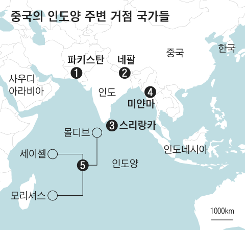 그래픽=조선디자인랩 정다운