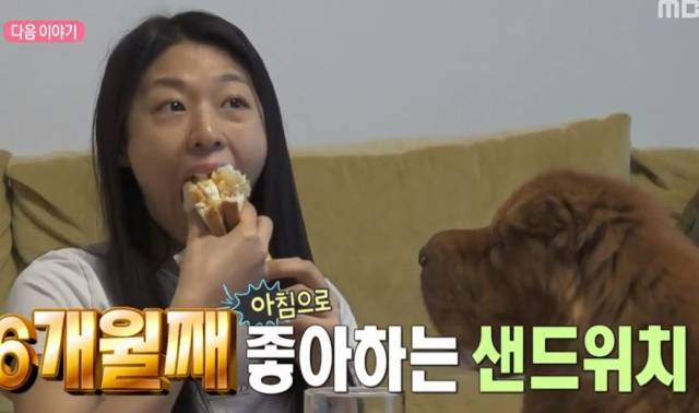 MBC 화면 캡처