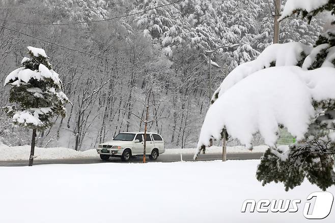 강원도 고성 미시령 폭설 자료사진.  ⓒ News1