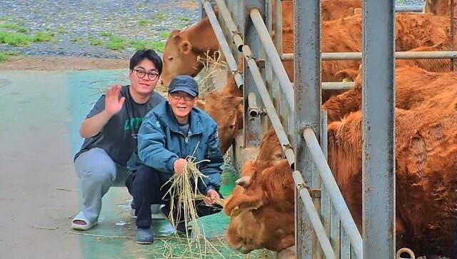전남 영암군의 귀촌·귀농인 유입 정책 ‘마더하우스’ 1호 입주자 김유성(왼쪽)씨가 신북면 축사에서 아버지와 한우를 돌보고 있다. 김유성씨 제공