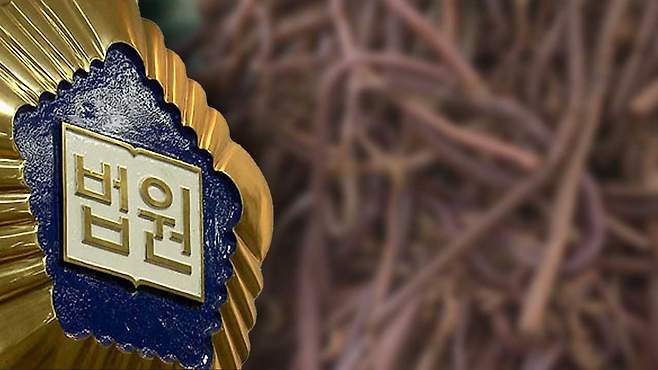 [자료사진]
