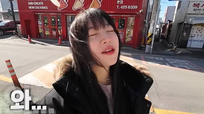 먹방 유튜버 쯔양이 필리핀 여성을 희화화한 '니퉁' 연기자 개그우먼 김지영과 함께 한 영상을 인종차별 논란에 삭제하고 사과했다.