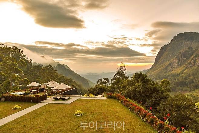 스리랑카 엘라'에코 엘라'