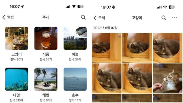 비포토즈로 백업한 사진 중 AI가 고양이 사진만 자동으로 선별했다.