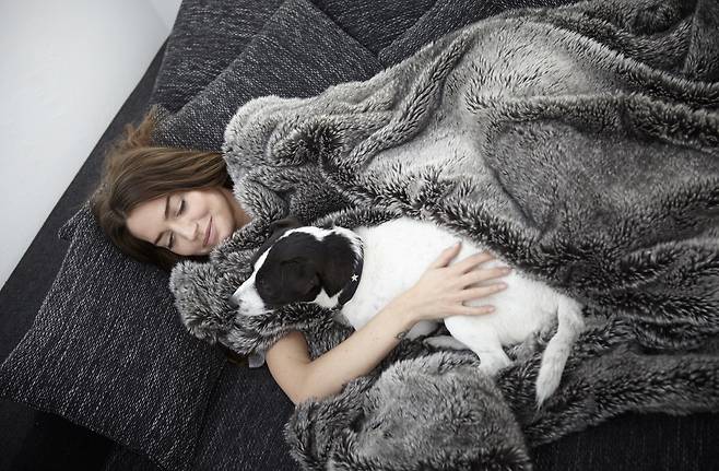 반려동물과 함께 자는 것은 건강에 장단점이 있다./사진=클립아트코리아
